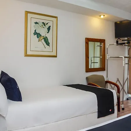 Capital O Hotel Dos Mares, Cabo San Lucas Extérieur photo
